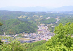 大山の展望と雲海